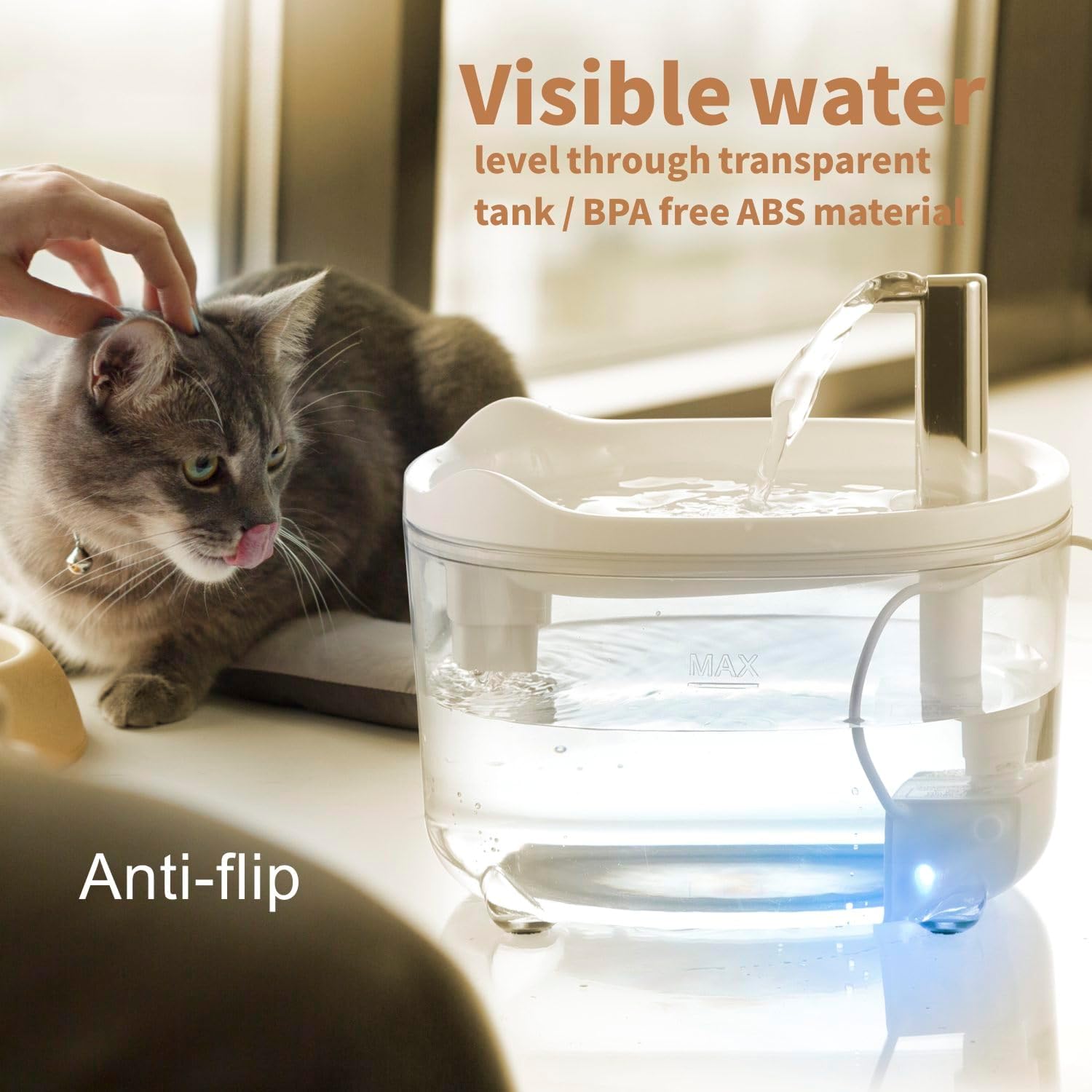 Pet water dispenser